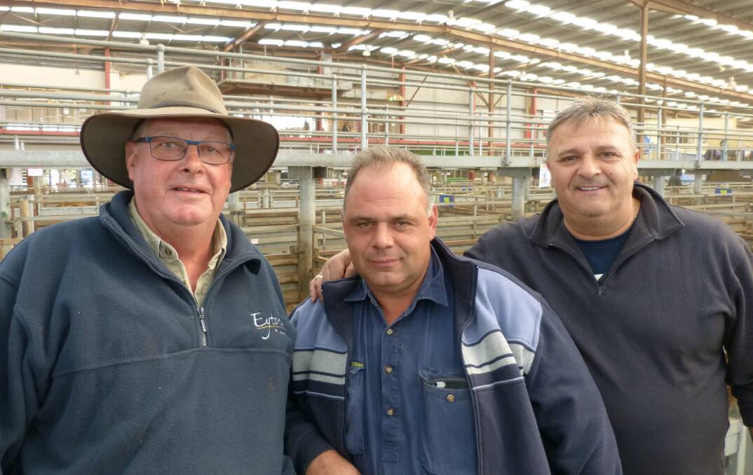 Merv Steer (left), manager of Eyton-on-Yarra, sold 66 Angus heifers at Pakenham, and Frank Sofra, Whispering Pines (purchaser, middle) with Frank Ramatanis. Frank paid $900-$1060 for these heifers to replace cull cows.