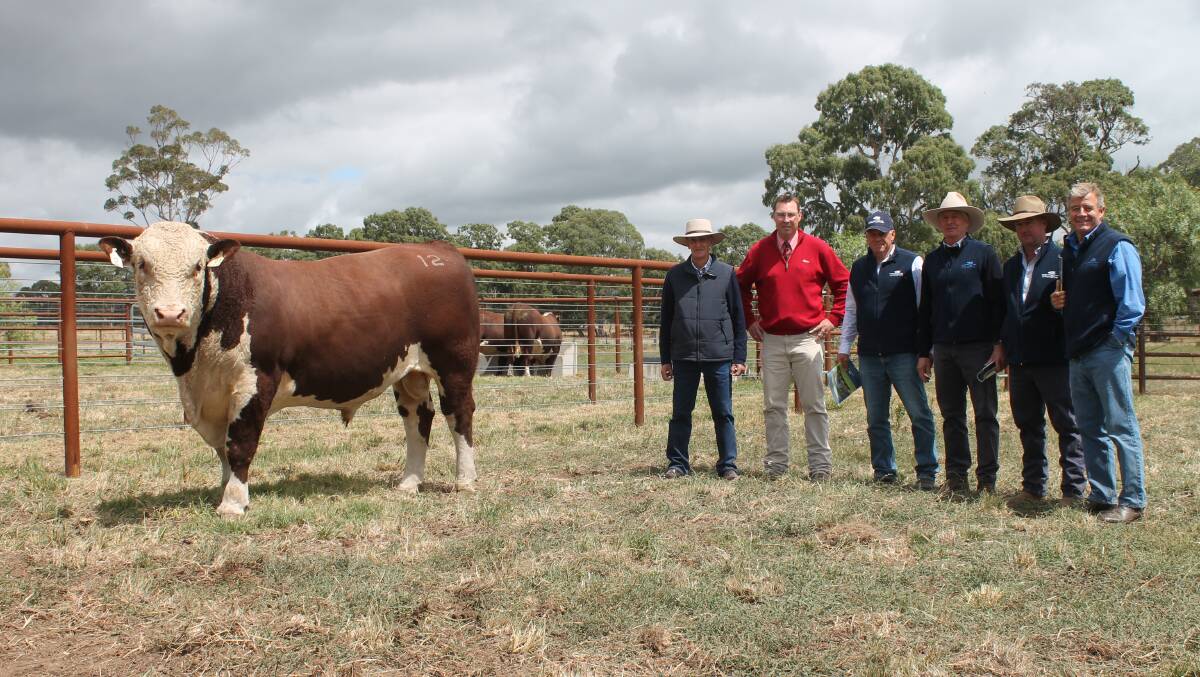 Top-price bull buyer Barry Newcomen, Elders' Ross Milne and Yarram Park's Antony Baillieu, Jeremy Upton, Michael Peterson and Charles Baillieu.