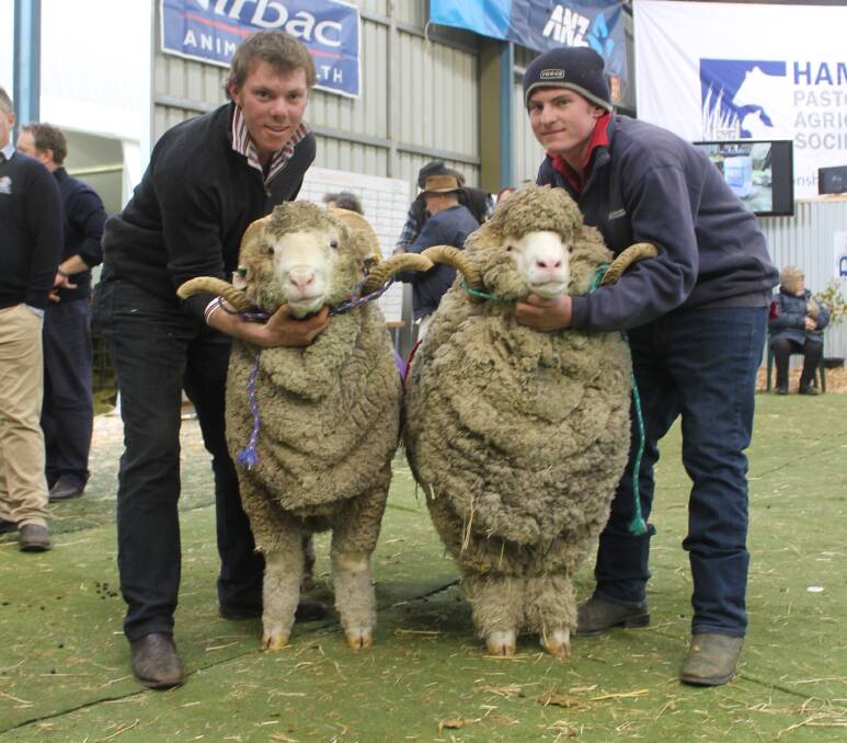 Robert and Colin Glen are pictured with Reserve Grand Champion and Grand Champion Superfine rams at Sheepvention, Hamilton, 2015 both by a Conrayn sire.