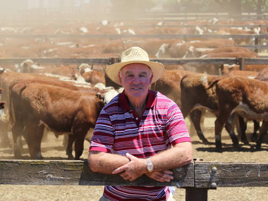 For more than 10 years, Paul Mason, New Oakleigh Farm, Wellington, NSW, has chased top Hereford genetics on sale at Hamilton. This year he has snagged 613 steers.