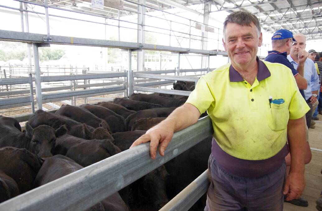  Sale's Barry Hollonds paid $1260 for this pen of 14mo 438kg Angus steers, vendor M&B Ross, Stockdale, at Friday's Sale store cattle sale.