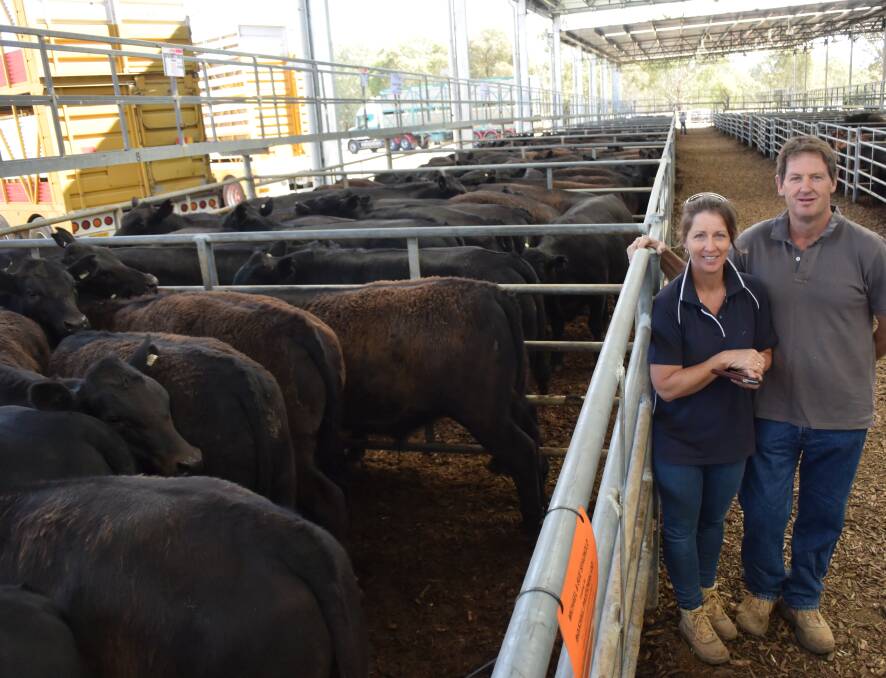 Sue and Michael Spagnolo, Boxhill Pastoral, Yea, topped the Yea sale.