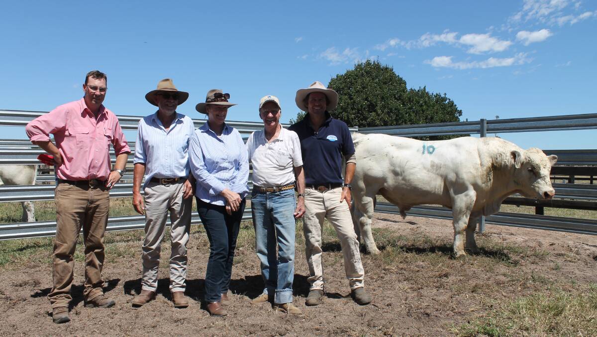 Top-priced bull: Elders auctioneer Ross Milne; buyers Robert and Angela Perkins and George Crocombe, Narweena Station, and vendor Rob Abbott, Mt William.