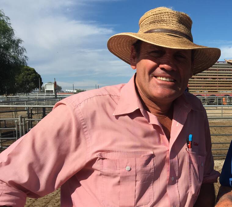 Steve Grantham, Elders Corowa, said prices were subdued for Merino ewes.