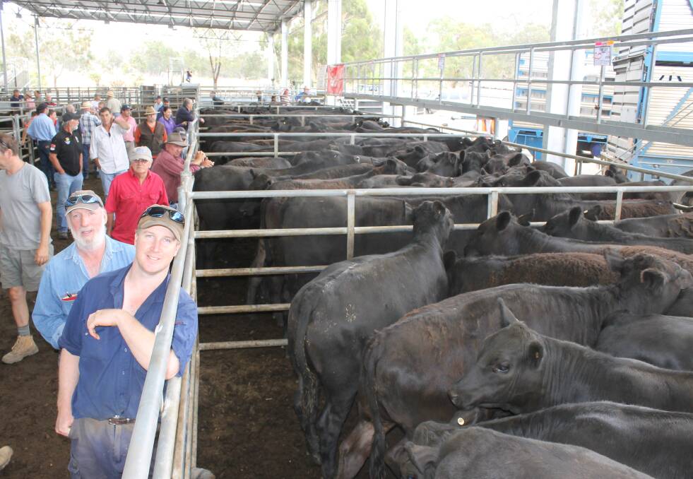 The Drysdale family (including John and son Leigh) at the 2015 Yea weaner sale where they consigned 300 calves. They plan to again buy bulls at Tasmanian Angus Week.
