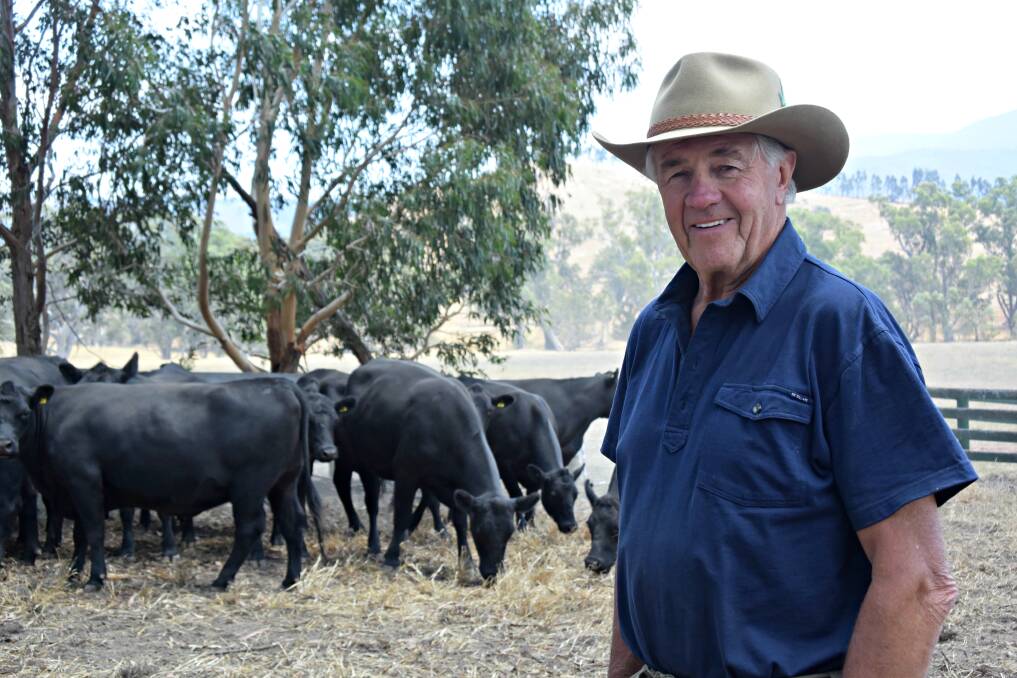 Jim Osborne, Strathglen Station, Strath Creek, will sell PTIC Angus heifers, Pert Angus blood, this week.