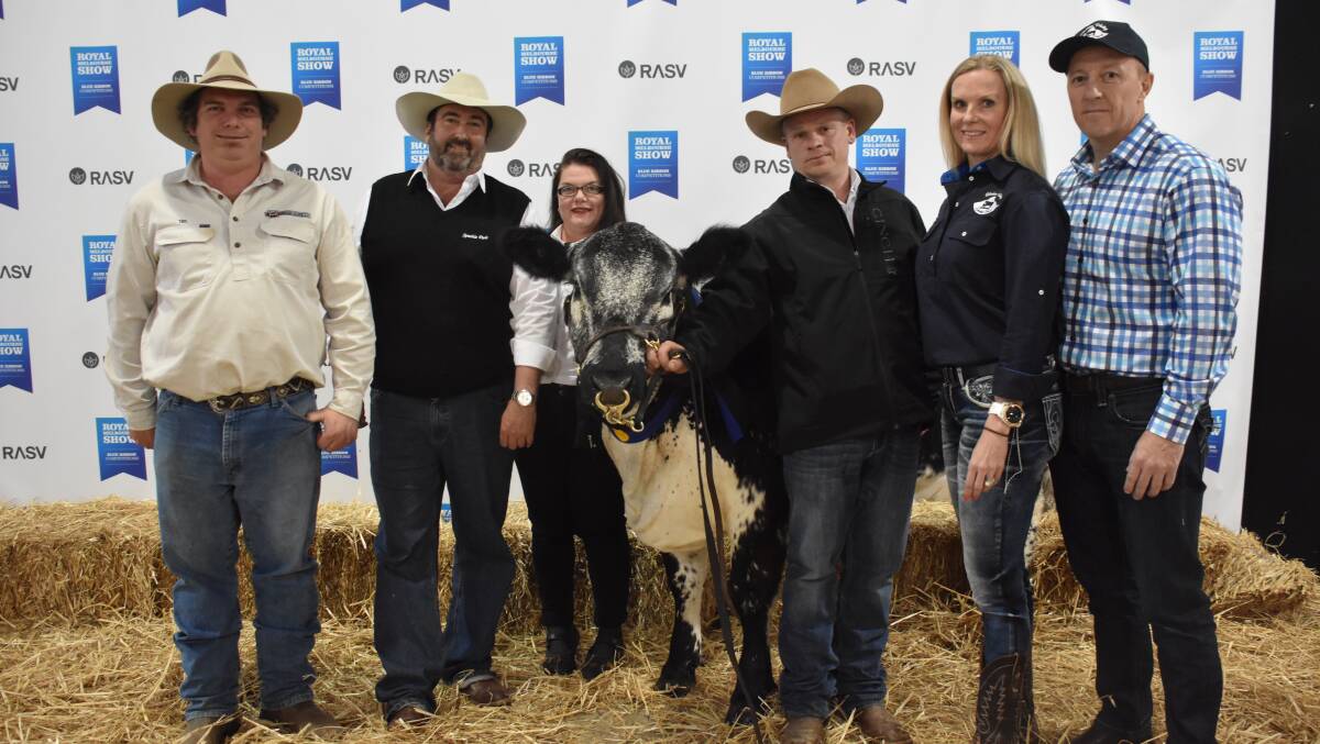 Record setter: (from left) Vendors Tim Bell and Greg and Svetlana Ebbeck, Six Star stud, handler Erin Grylls and buyers Roz and Peter Alexander, Hidden Valley stud, with the world record priced Speckle park female. Photo: Nathan O'Sullivan