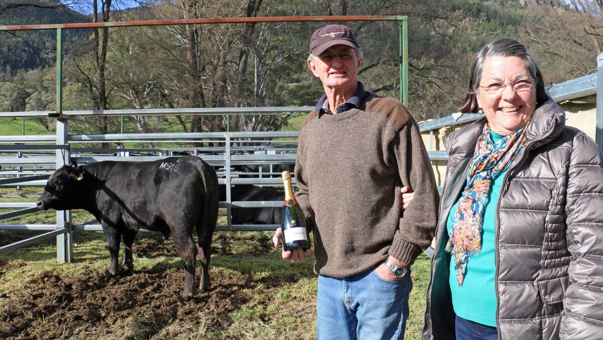 Caption: Graham and Judy Houston, Houston Pastoral, Burrowye, paid $15,000 for this bull.
