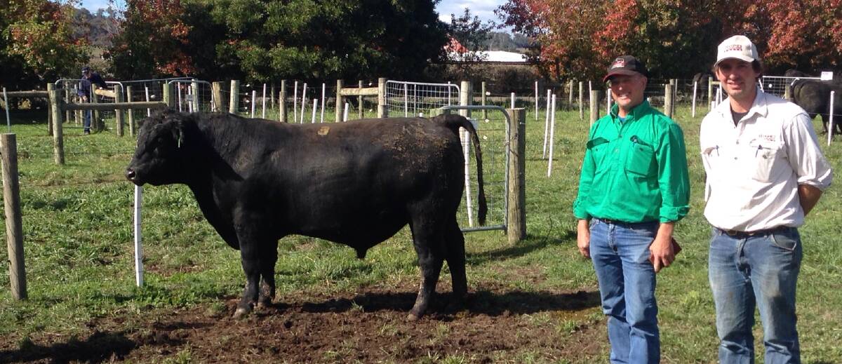 Top price: Scott Bowden, Cluny, Bothwell, Tasmania, purchased an equal top-price bull at Cluden Newry Angus and is pictured with the stud's Jock Hughes.