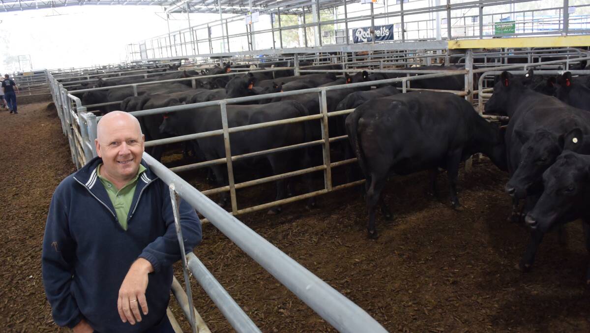Stephen Maynes, Woodstock, sold five Angus cows, second calvers, PTIC to Te Manis bulls for $1620. 