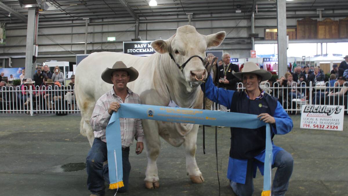 Glen Waldron and Kim Groner, Elite Cattle Co, made the 20-hour drive from Meandarra, Queensland, to take part in the feature Charolais show.