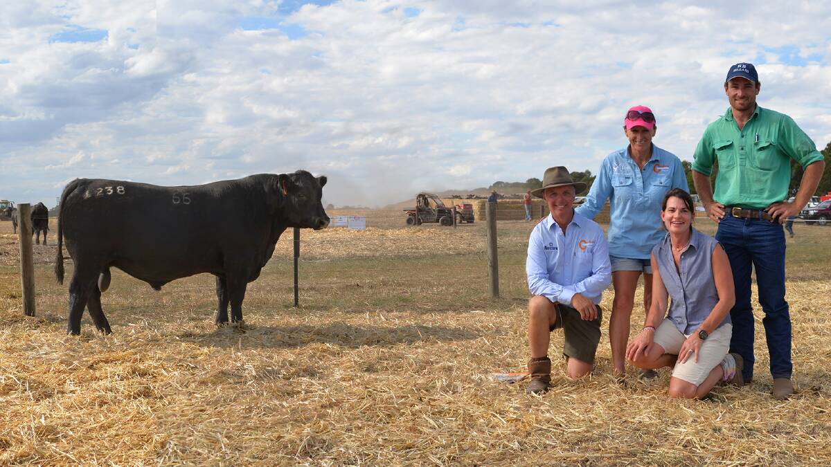 With the $17,000 top and Coolana record-priced bull are vendors Mark and Anna Gubbins, and Alix and Harry Kelly, Mooromook Pastoral, Caramut.