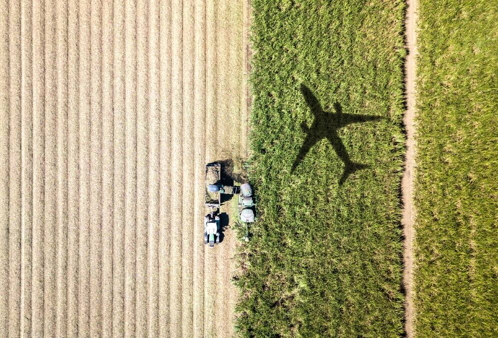 Australia has the opportunity to be a player in the aviation biofuel industry, but the government and industry need to work together. Picture supplied by CSIRO