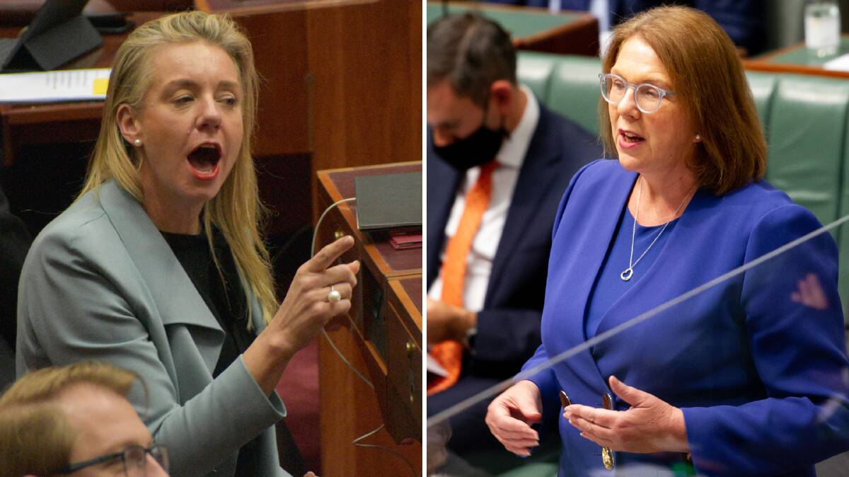 Senator Bridget McKenzie (left) told Regional Development Minister Catherine King to stand up to the speculated regional budget cuts.