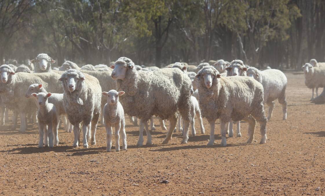 SPREAD: The bacteria that causes Q fever can travel up to 30km in dry, windy conditions and infect people who have had no contact with animals.