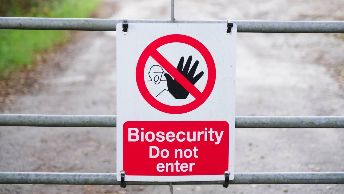 Biosecurity system needs overhaul stay effective: CSIRO report