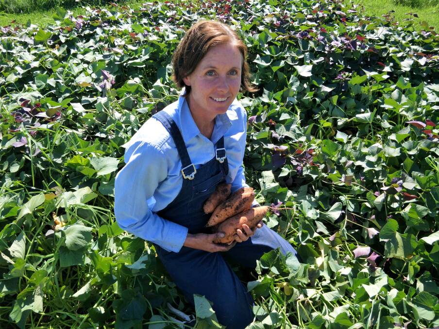 GREEN THUMB: Kirsty Hambrook in the sweet potato patch at Kangaroo Valley’s Terrewah Farm.