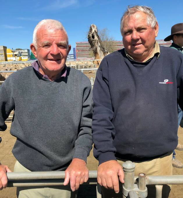 ON THE RISE: Mick Seymour and Len Reynoldson from Corowa discuss the lift in the Corowa market.