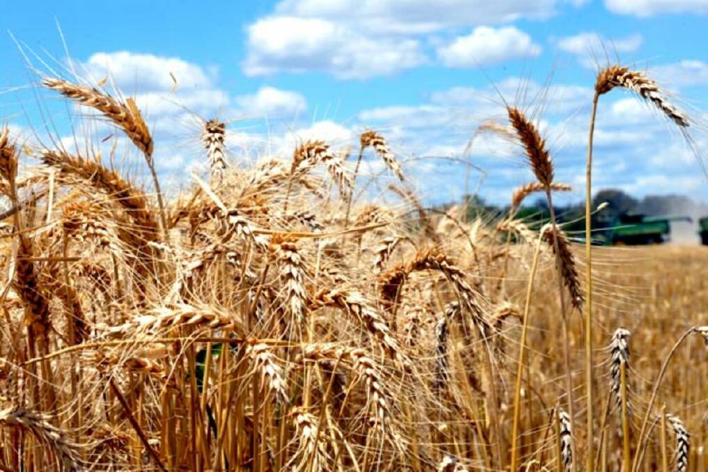 UPDATE: The USDA Report, the US Plantings Report, Grain Stocks Report and updates for December US wheat export sales have been provided. Subsequently, the wheat market has not responded strongly one way or the other.