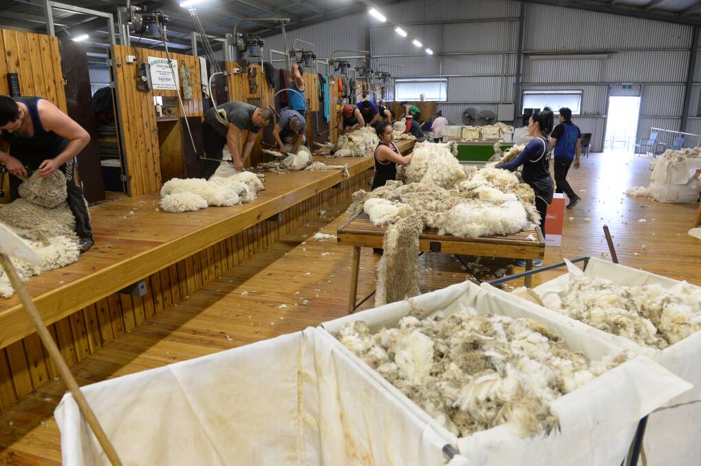 World must hear wool industry's messages