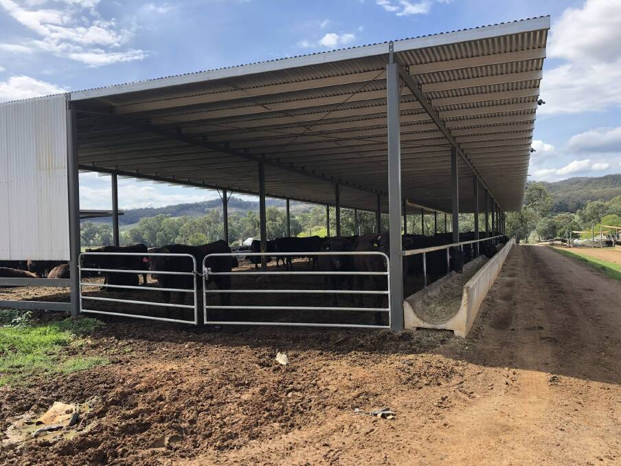 Extensive and fully functional farming infrastructure on all four farm holdings include machinery, fodder storage and feeding facilities.