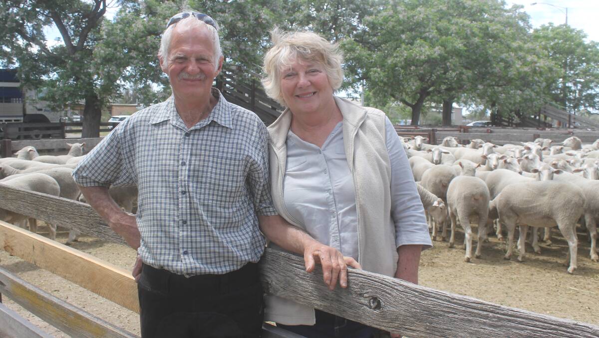 SALE TOPPERS: Ray and Patricia Paget made close to the top price at Benalla, selling their pen of 210 Border Leicester/Merino ewes, May/June 2018-drop, for $350.