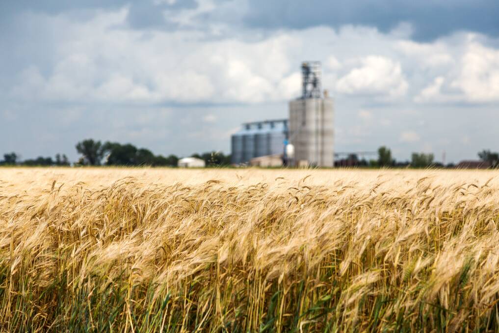 GLOBAL WATCH: Most of the gains in the global crop will be driven by the EU, where acreages are up 3 per cent, and a mild winter has seen low levels of frost damage. Russia is also expecting a big lift in output.