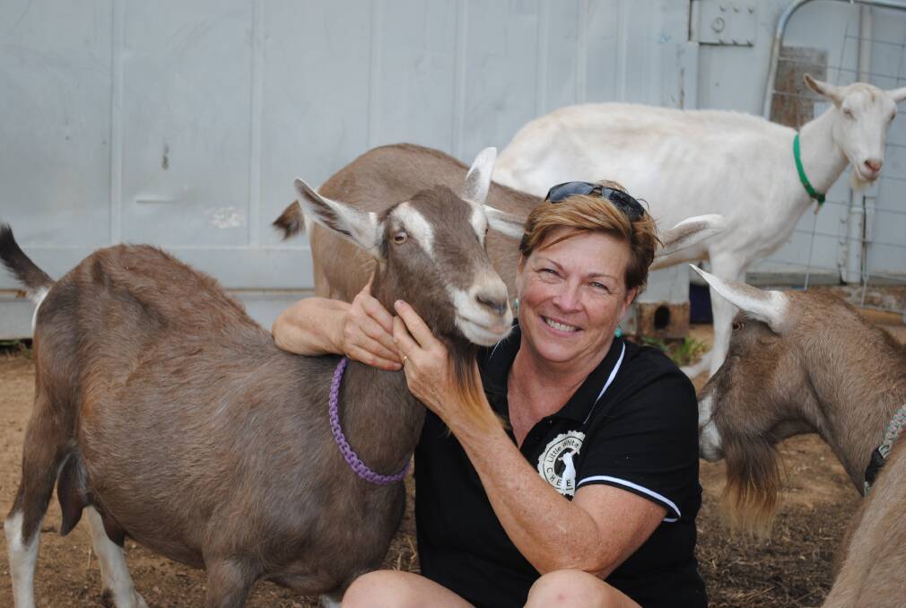 SAY CHEESE: Karen Lindsay started out with two goats about 15 years ago and now has 80. Her cheese business has been steadily growing.