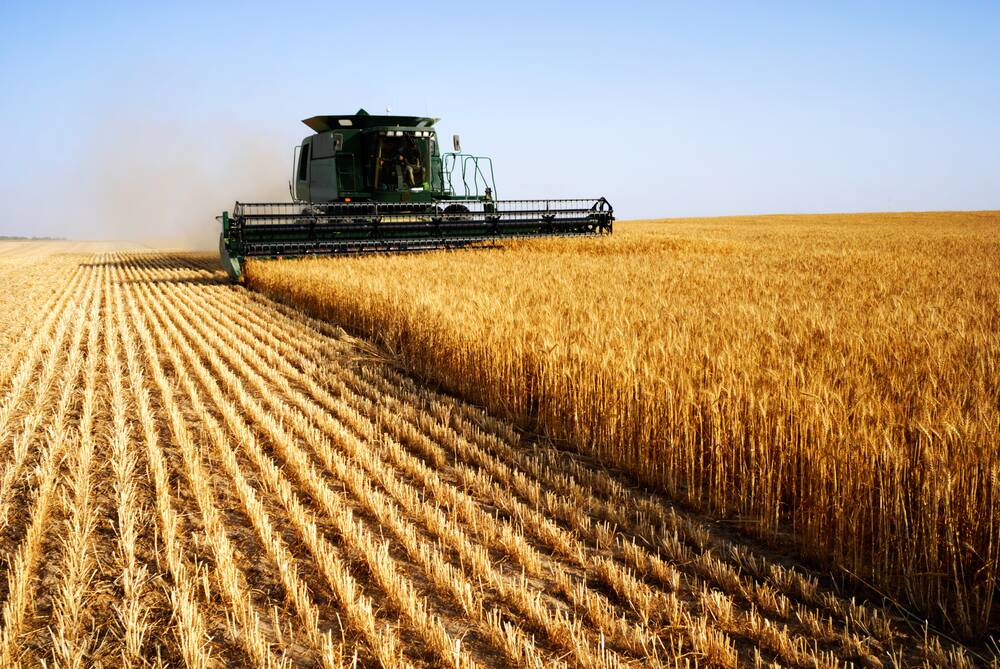 More than 640,000 tonnes of French wheat has been already shipped to China since the start of the 2019/20 marketing season in July.