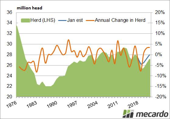 FIGURE 1: Australian cattle herd. MLA's April update indicates a 7.7pc fall in the herd from 2018. The blue line shows the herd projection made in January. The April update shows growth in the herd to 2022 running 1 million head behind.
