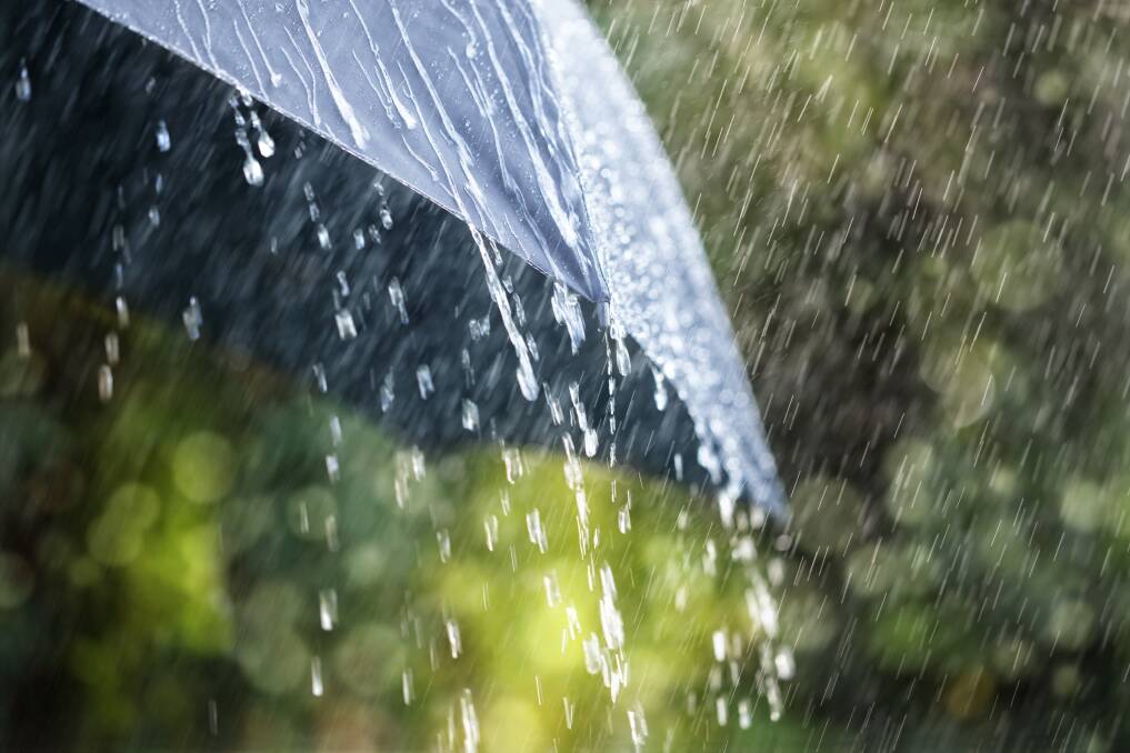 Statewide, rainfall was 19 per cent above the long-term January average of 40 millimetres. 