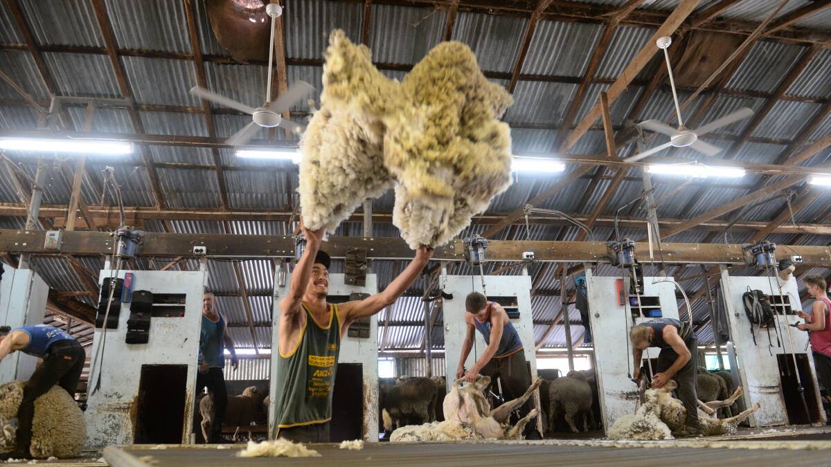 China/US trade war impacts wool demand