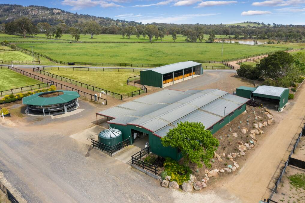 All the equine facilities include a 12 box stabling facility, plus a six box stallion barn, and three other major shedding structures for fodder, vehicle, and machinery storage.