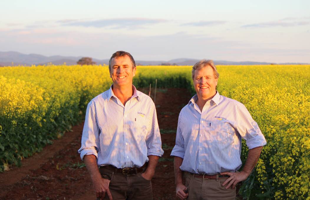 Pete and Bob Mac Smith are the faces behind Auzure canola oil.