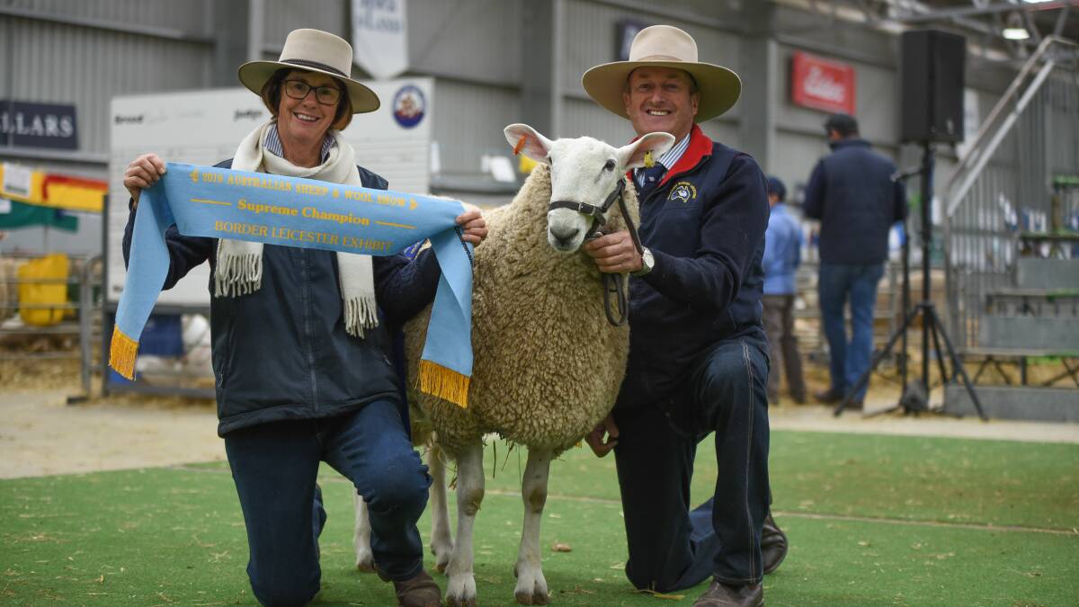 Robyn and Reg Sweeney, Bindaree Border Leicester, Dunedoo, NSW, with their champion ram and supreme Border Leicester exhibit. Photo: Ruby Canning.