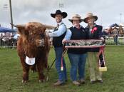 Scott Carter, Nuriootpa, holds the supreme exhibit, Gryphon of Glenstrae 8827, with his owner Erica Smith and judge Fiona Sanderson, Murralong Angus, Boonah, Qld. 