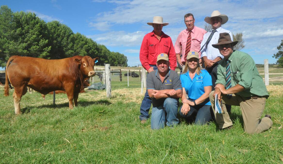 EYE APPEAL: Top bull buyer John Gaffney, Qld, Ross Milne, Jono Spence and (front) Mandayen's Damian and Mandy Gommers with Richard Miller.
