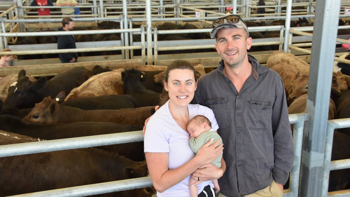 Jen and Sid Patterson, Bool Lagoon and their three-week-old daughter Oakley received strong prices for their two pens of steers. Their 21 Angus weighing 389kg made $1690 while their greys made $1670.