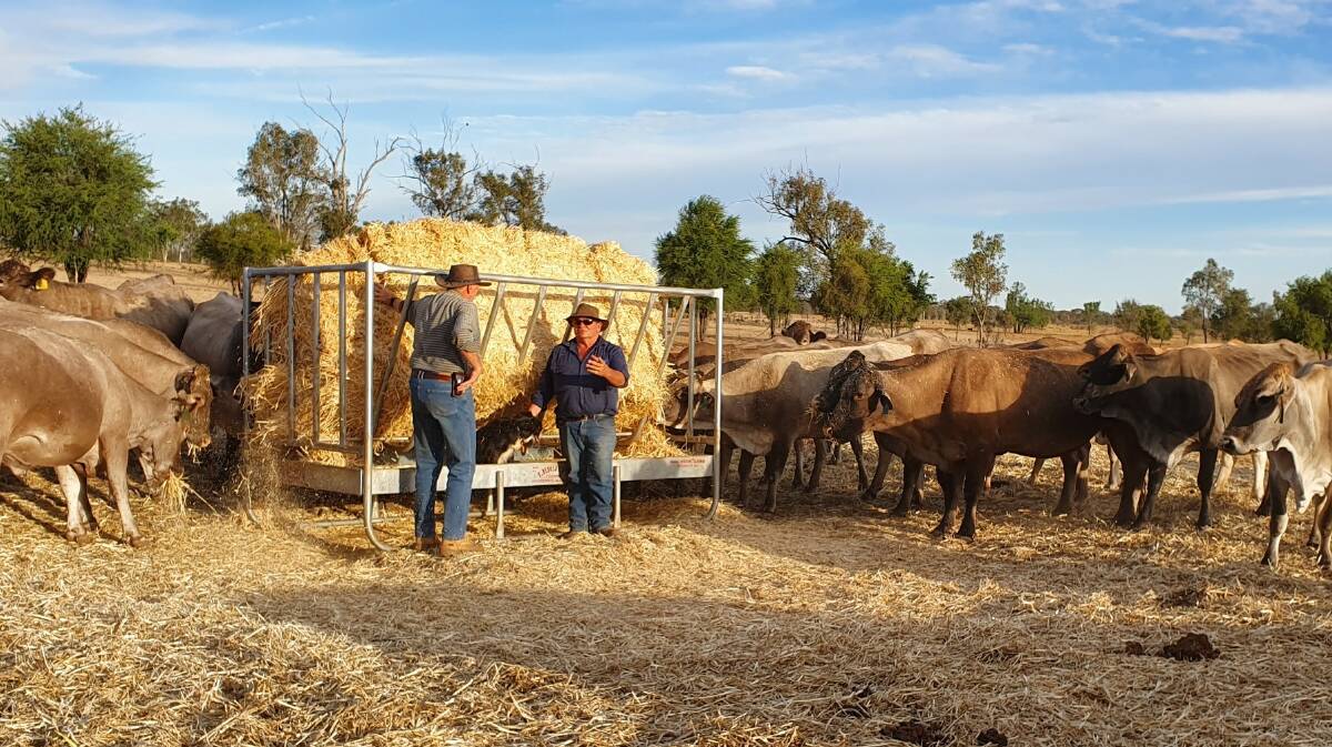 ON THE GROUND: Agtech consultant Paul Stapleton, PLF, speaks remote monitoring with cattle producer Tony Hellmoth, Glenelg Cattle Co near Emerald in Queensland.