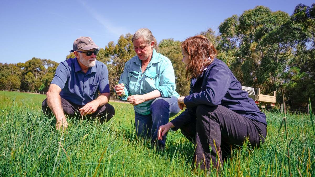 Professor Richard Eckard talks soil carbon with Victorian livestock producer Fiona Conroy and ACM journalist Shan Goodwin. Picture Rachel Simmonds. 