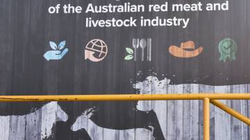 Big red meat research and development body MLA has made redundant 15 staff.