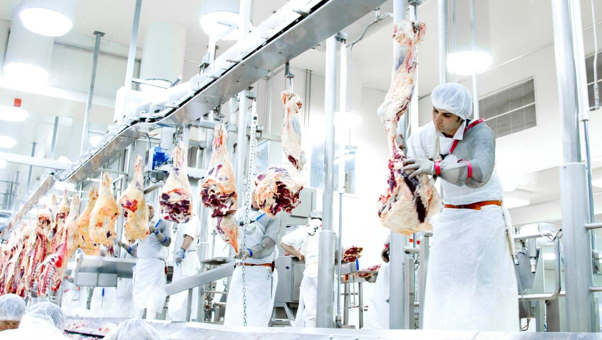 IN FOCUS: It's far more than weight and yield that determines carcase revenue.
