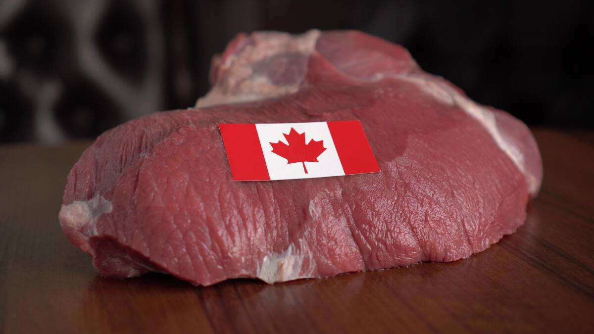 Canada is both an important beef and sheepmeat market for Australia as well as being an international competitor, Steve Martyn writes. Picture by Shutterstock.