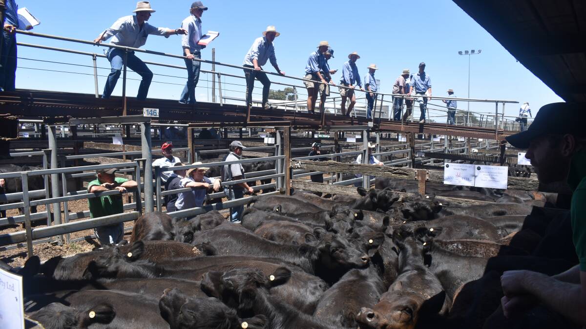 Weaner prices tipped to sizzle