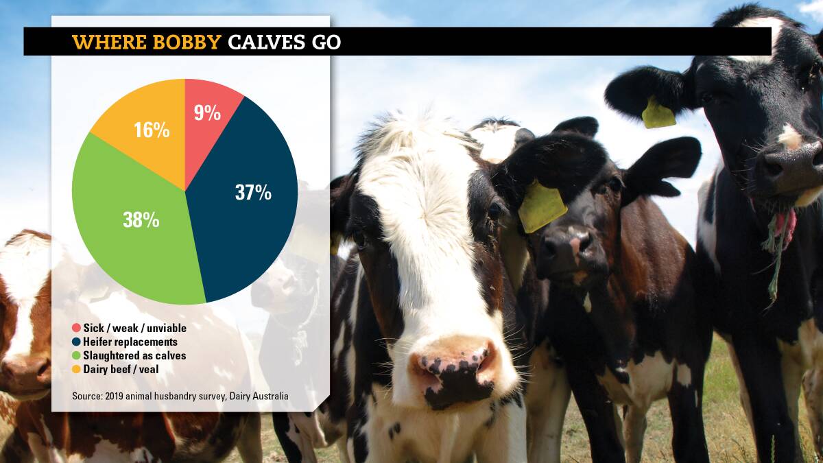 ANALYSIS: A look at the future of dairy from an international perspective.