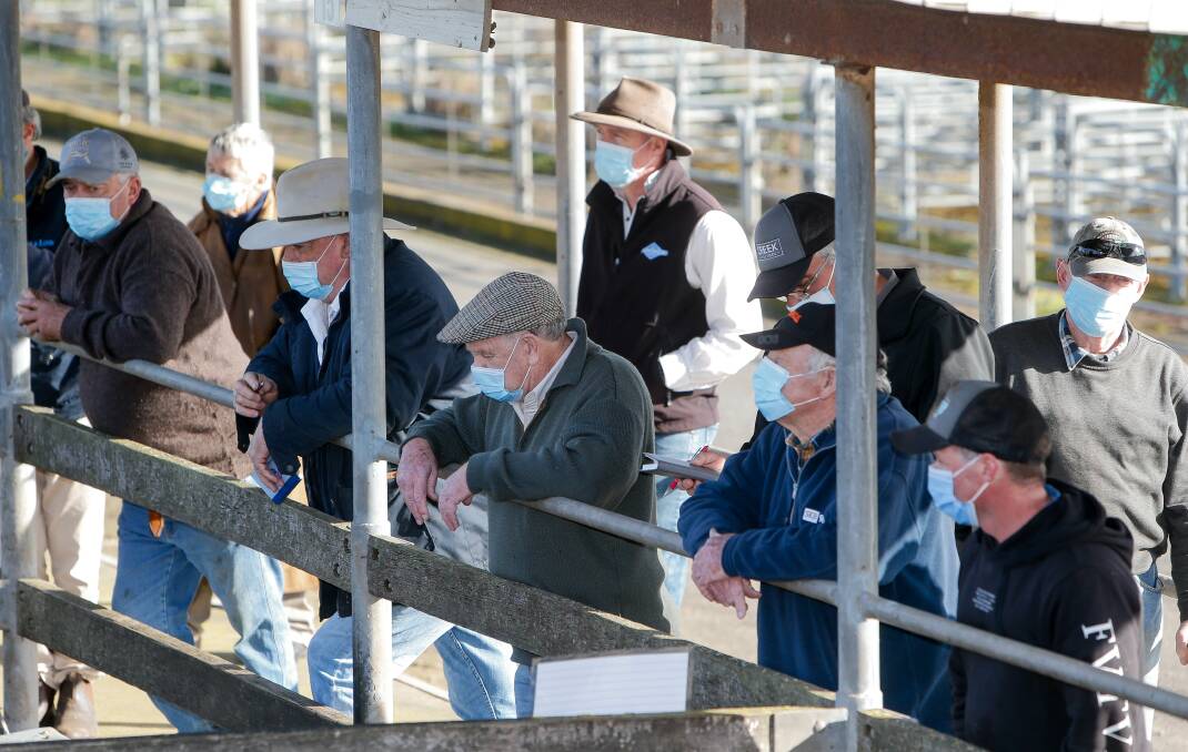 MASKED UP: The new way of doing business at Victorian saleyards.