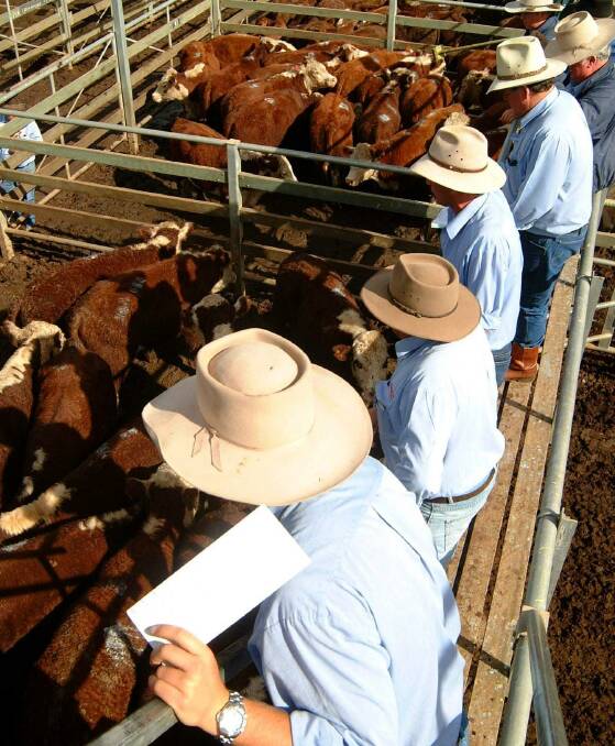 The talk in the wash-up of southern weaner sales