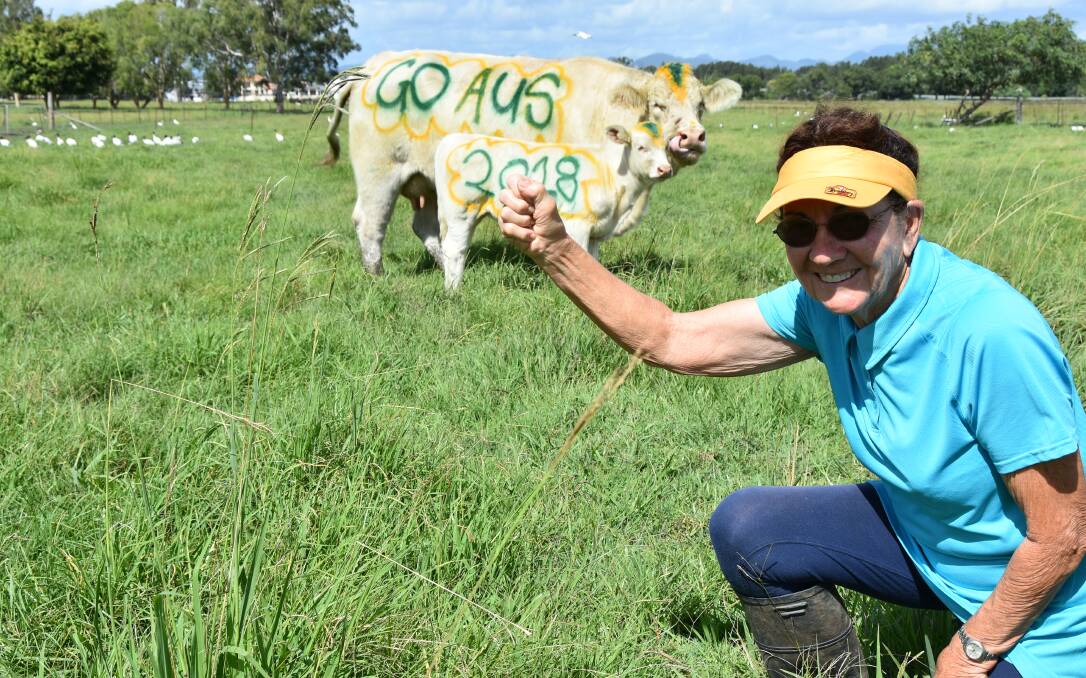 Coastie cows all set for Commonwealth Games