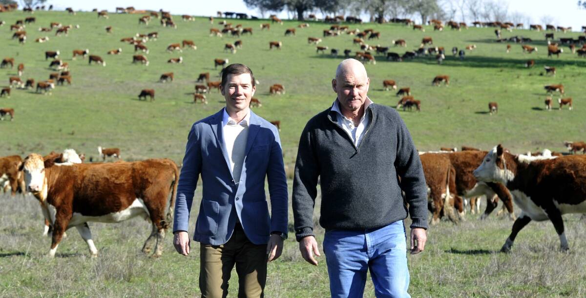 NEGOTIATE WELL: Director of corporate and agri finance at Robinson Sewell Partners in NSW, Ian Robinson, with client Michael Coughlan, who runs 4000 poll Hereford breeders in the Riverina. 

