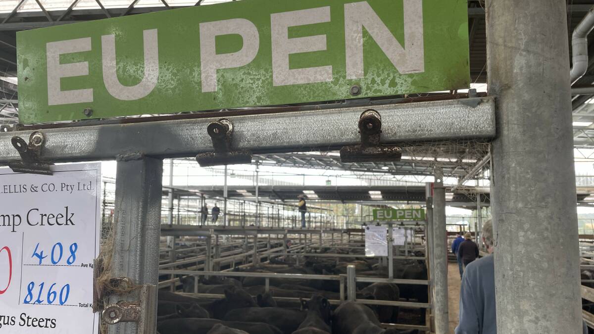 The 'extras' southern weaner buyers are chasing